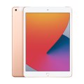 Apple iPad 10.2 (2020) or iPad 8 Spec and Price