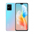 vivo S10