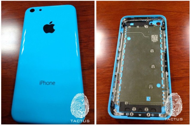iPhone 5C In Blue