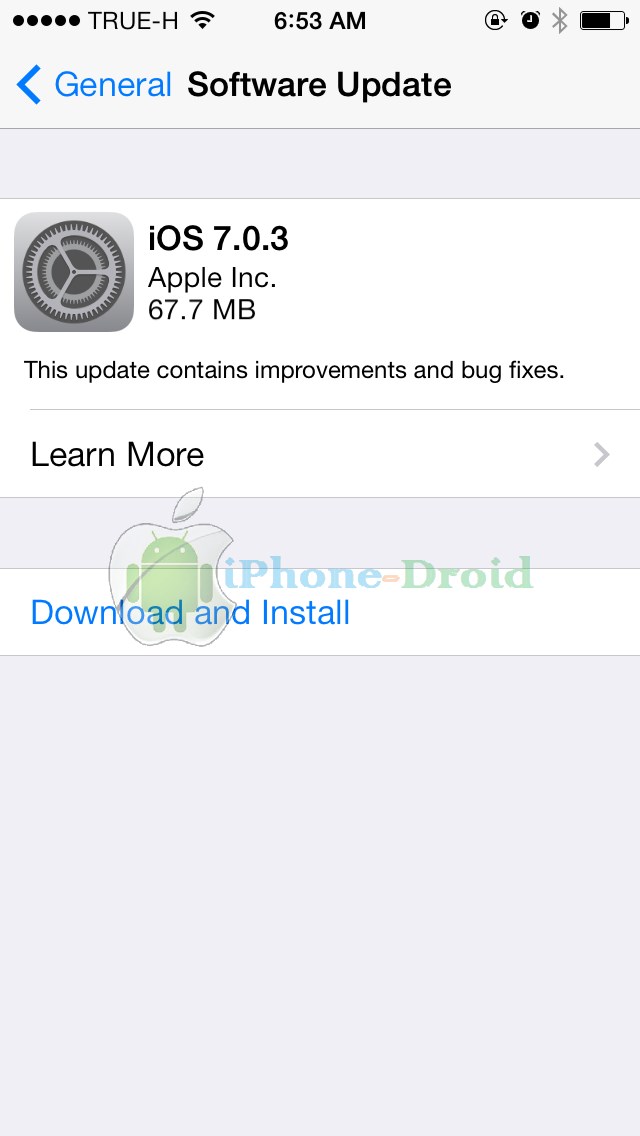 iOS 7.0.3