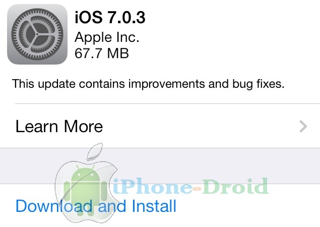 iOS 7.0.3_02