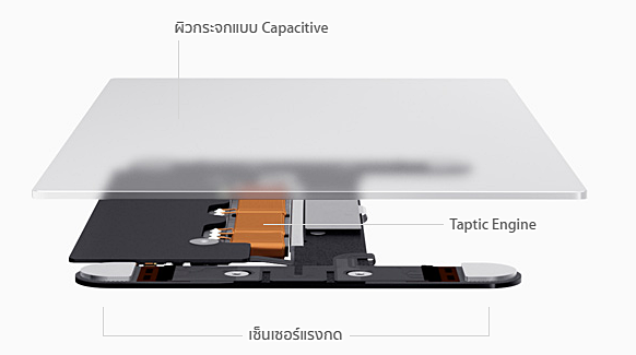 Macbook 12 Taptic Engine