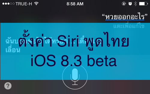 siri_thai02