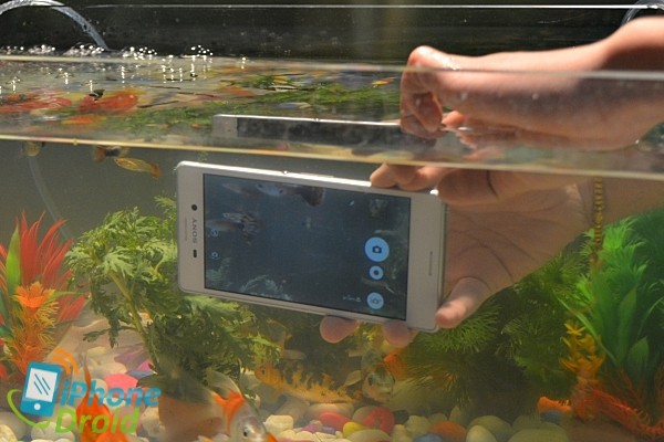 Sony Xperia M4 Aqua Review-01