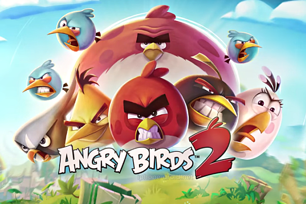 angry bird fight