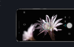 Huawei Honor 6 Plus