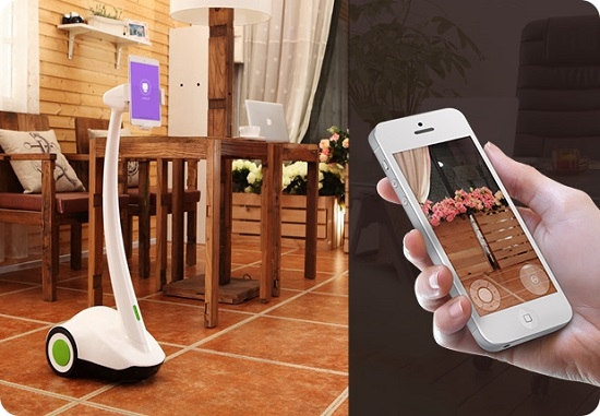 PadBot-Auto-Response