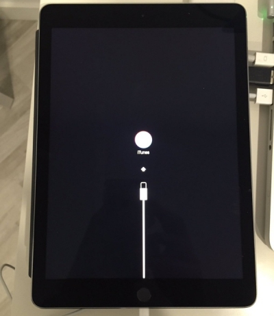 An iPad Pro bricked after installing iOS 9.3.2