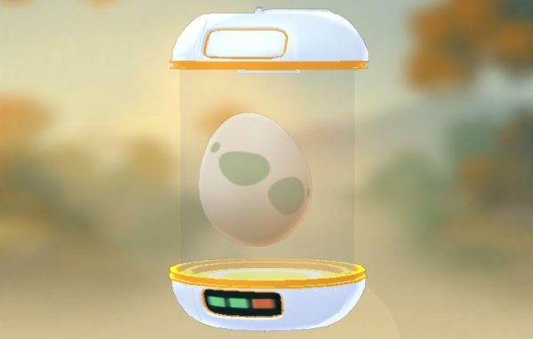 Egg Incubator