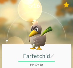 Farfetch’d พบได้ในเอเชีย
