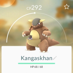 Kangaskhan พบได้ในออสเตรเลีย และนิวซีแลนด์ 