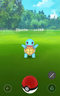 Squirtle