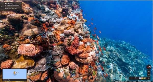 แนวปะการังที่ Batu Bolong ที่ปกคลุมไปด้วยปะการังสีสันสดใสและรายล้อมไปด้วยฝูงปลา ภาพจาก XL Catlin Seaview Survey