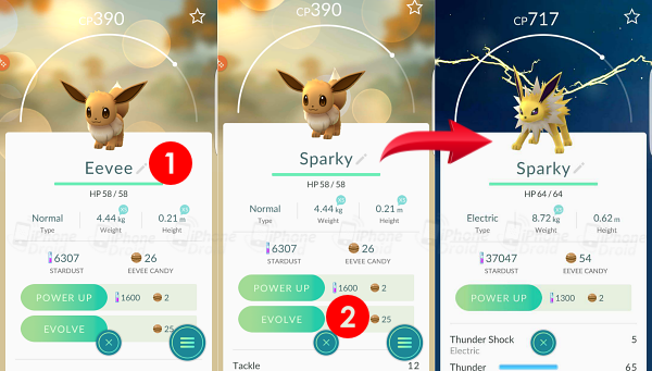 Manually Evolve Eevee Into Jolteon, Flareon and Vaporeon 001