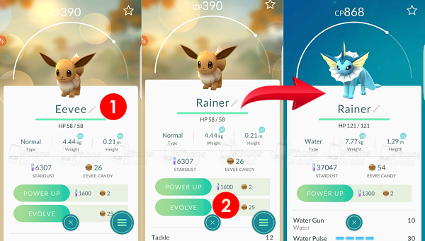 Manually Evolve Eevee Into Jolteon, Flareon and Vaporeon 003