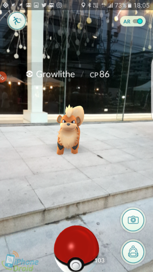 Growlithe