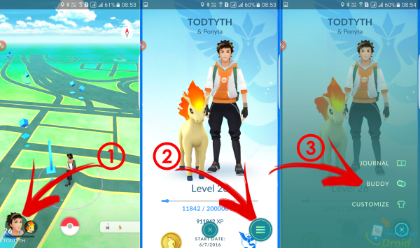 Pokémon GO Buddy Pokémon-01