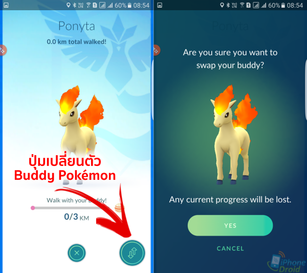 Pokémon GO Buddy Pokémon-02