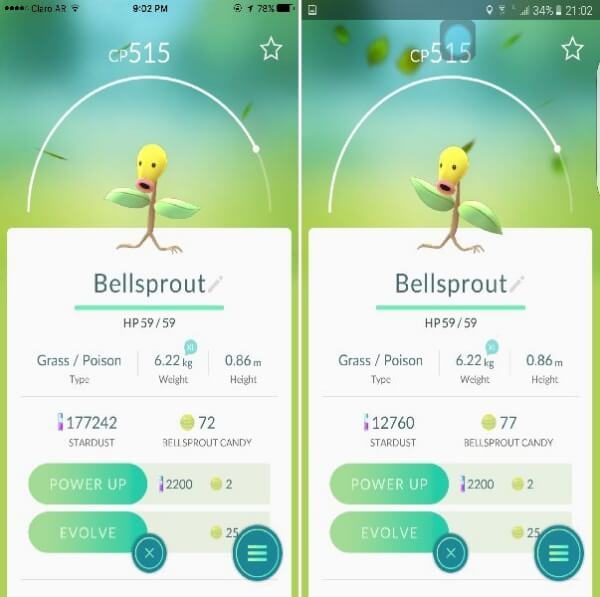 Bellsprout (1)