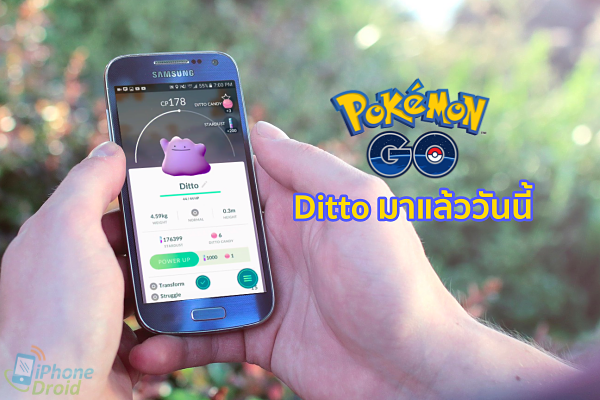 Ditto is now in Pokemon Go
