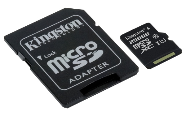 Kingston microSD 256GB with Adapter