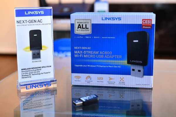 Linksys WUSB6100M