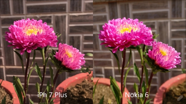 Nokia 6 vs iPhone 7 Plus Camera Comparison 04