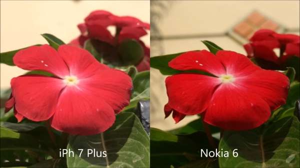 Nokia 6 vs iPhone 7 Plus Camera Comparison 06