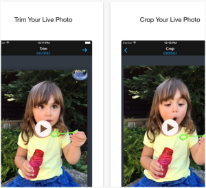 Screen Shot 2017-01-07 at 2.33.30 PM