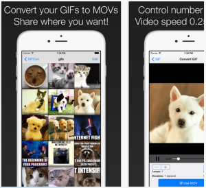 Screen Shot 2017-01-12 at 4.26.19 PM