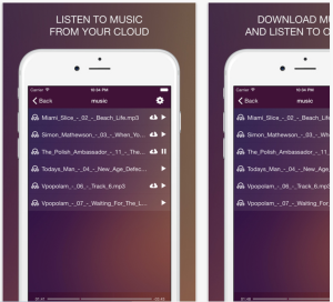 Screen Shot 2017-01-16 at 11.13.06 AM