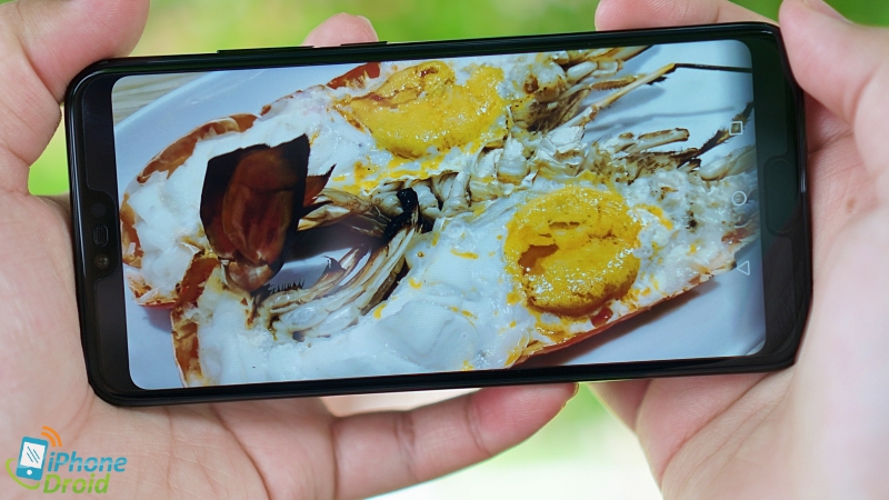 Honor 10 Review