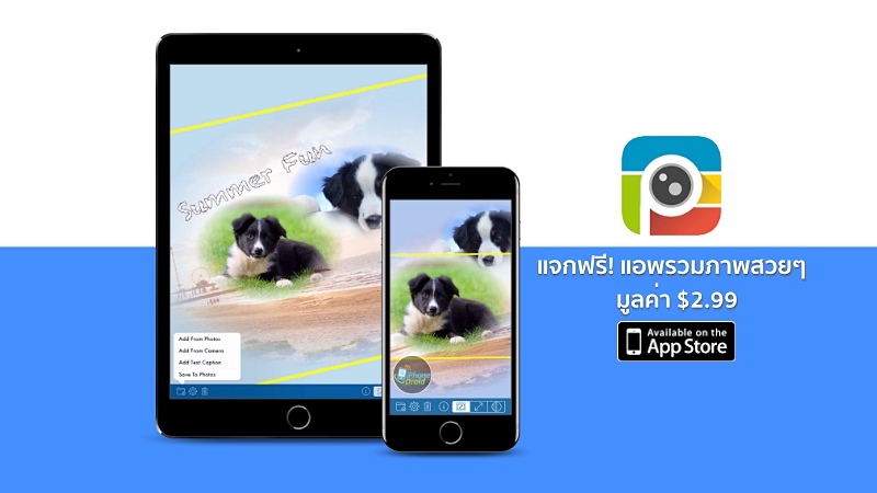 PhotoTangler - Best Collage Maker to Blend Photos