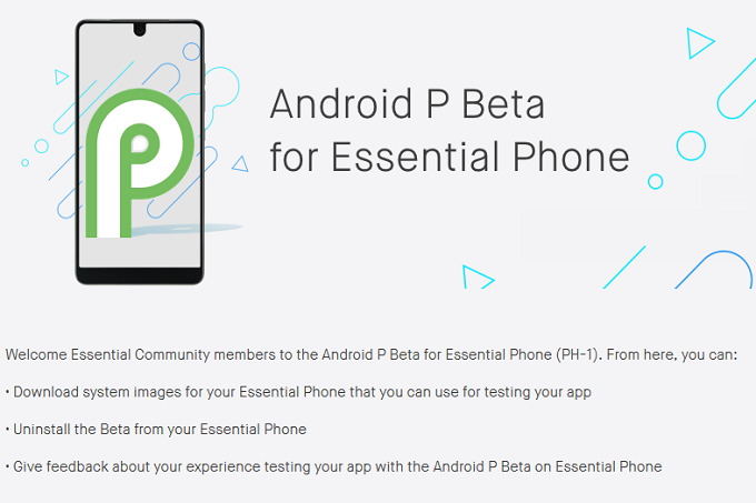 Android P Beta build