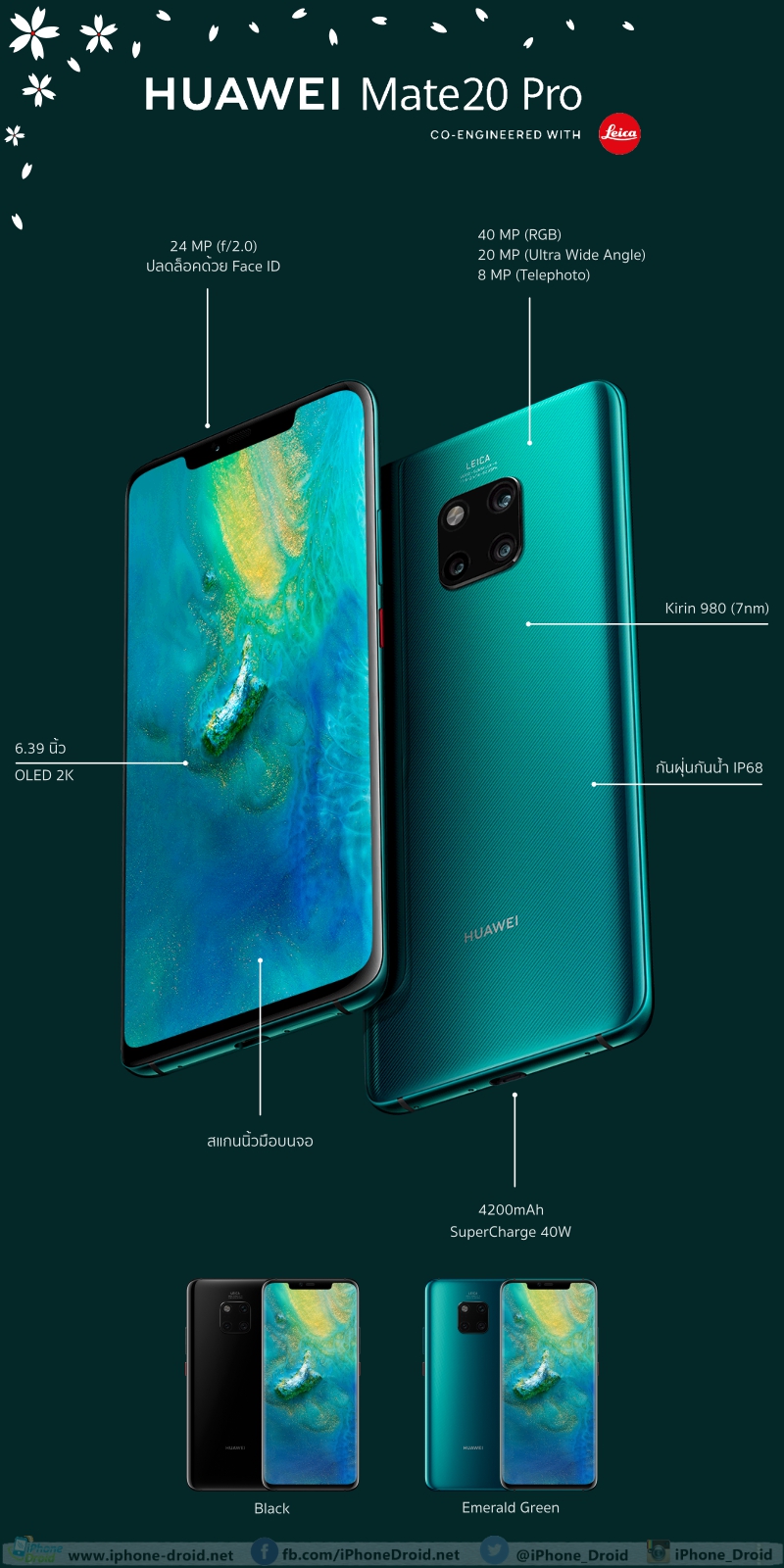 Infographic Huawei Mate 20 Series