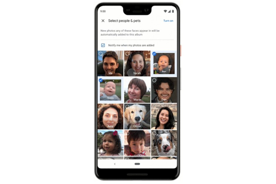Google Photos Live Albums has a 10,000-photo limit