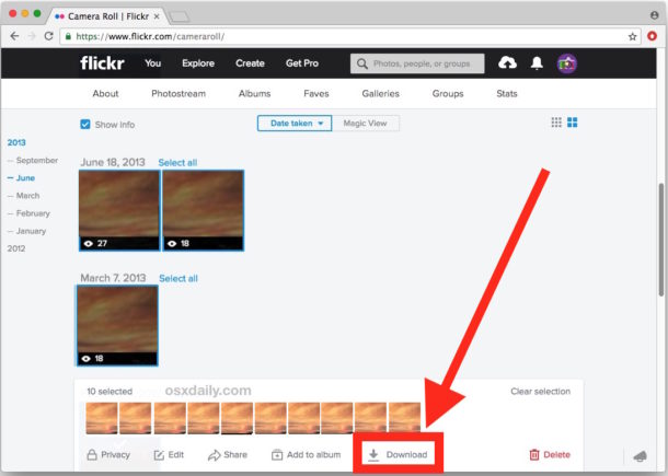 How to Download All Your Flickr Photos