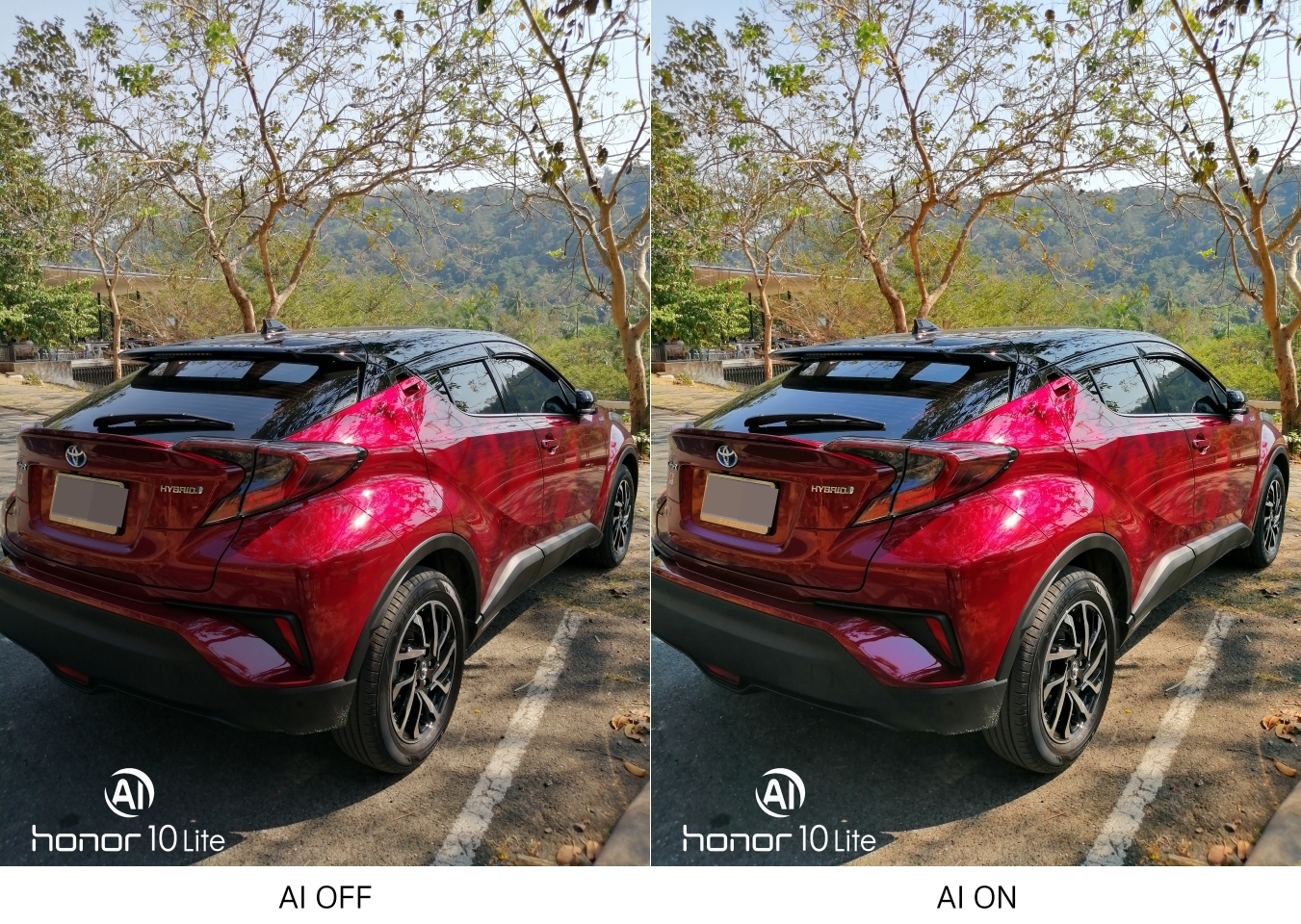 Honor 10 Lite Camera Review