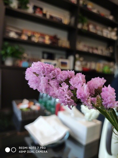 Check out these Redmi Note 7 Pro camera samples