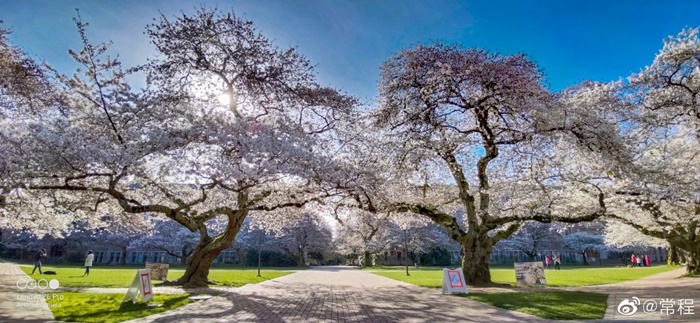 Lenovo VP posts Z6 Pro sample photos ahead of launch