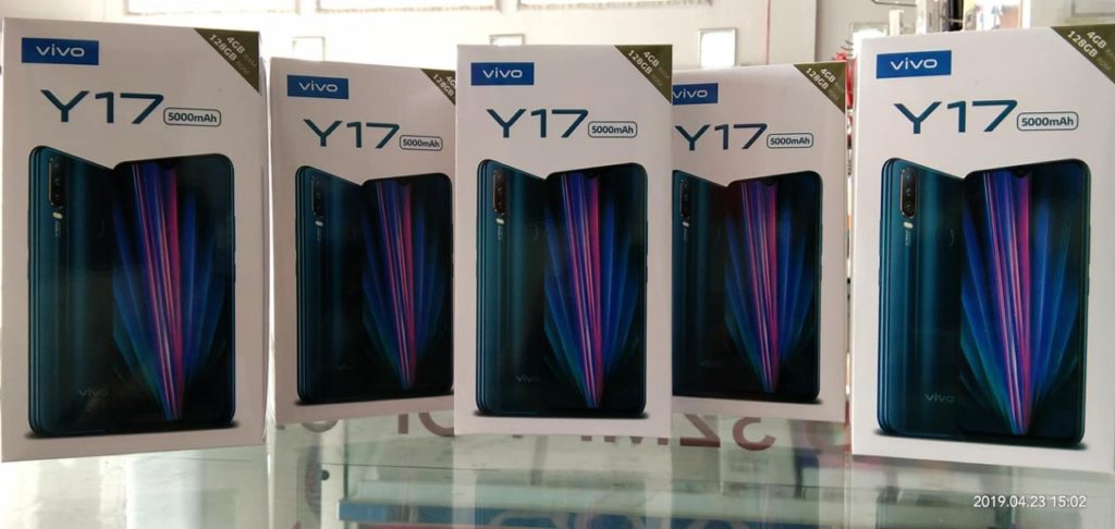 Vivo Y17 Launched in India