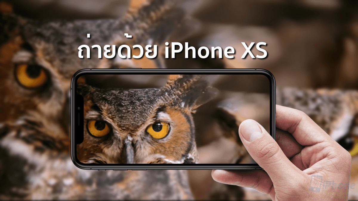 latest shot on iPhone XS video is here