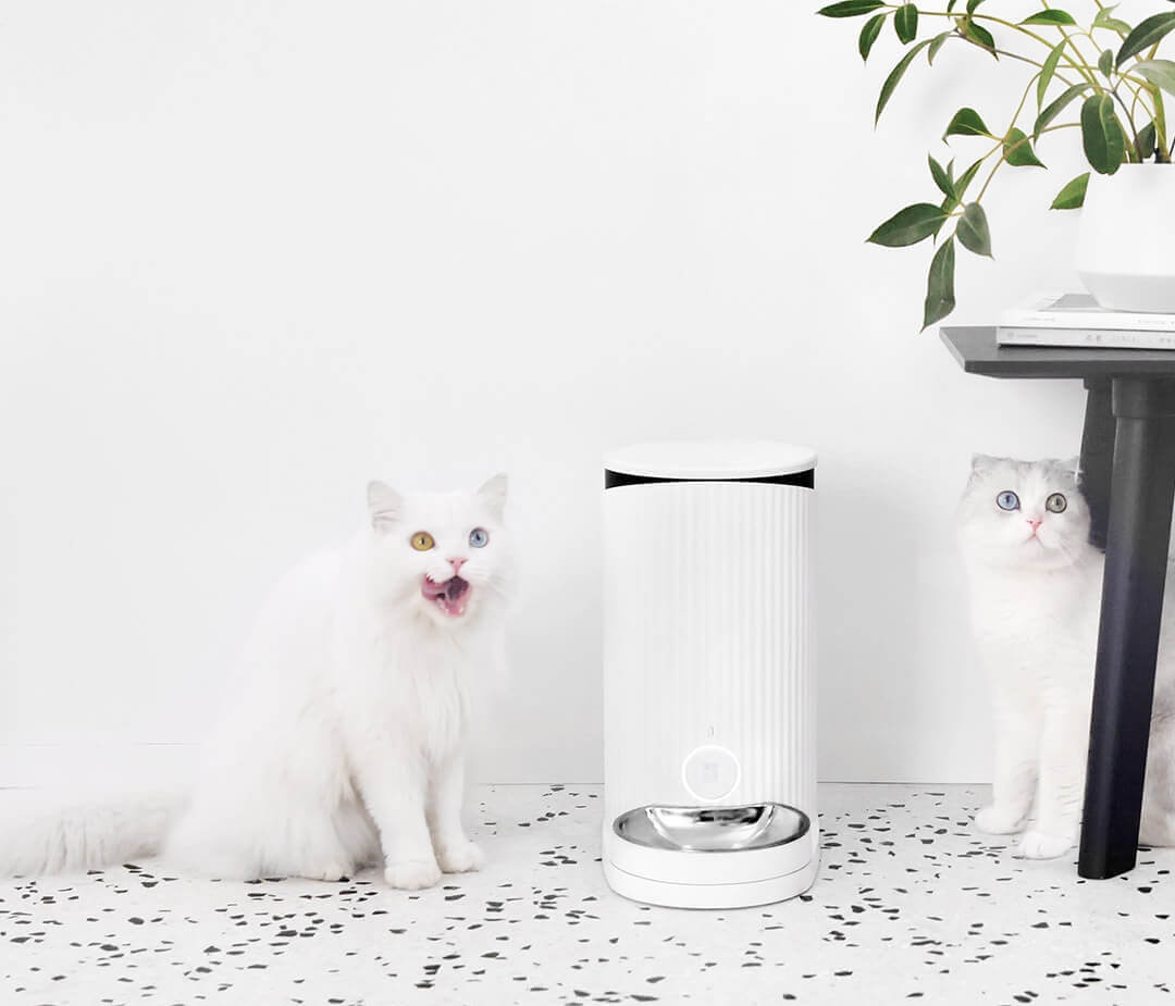 Xiaomi crowdfunds the Furrytail Pet Smart Feeder with app control for 199 yuan 1