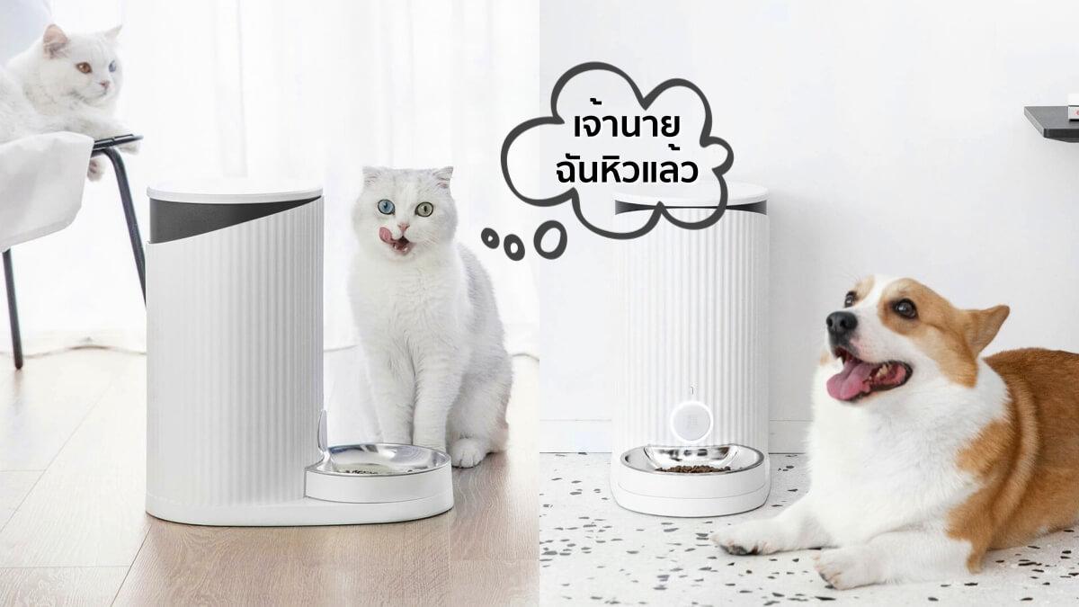 Xiaomi crowdfunds the Furrytail Pet Smart Feeder with app control for 199 yuan