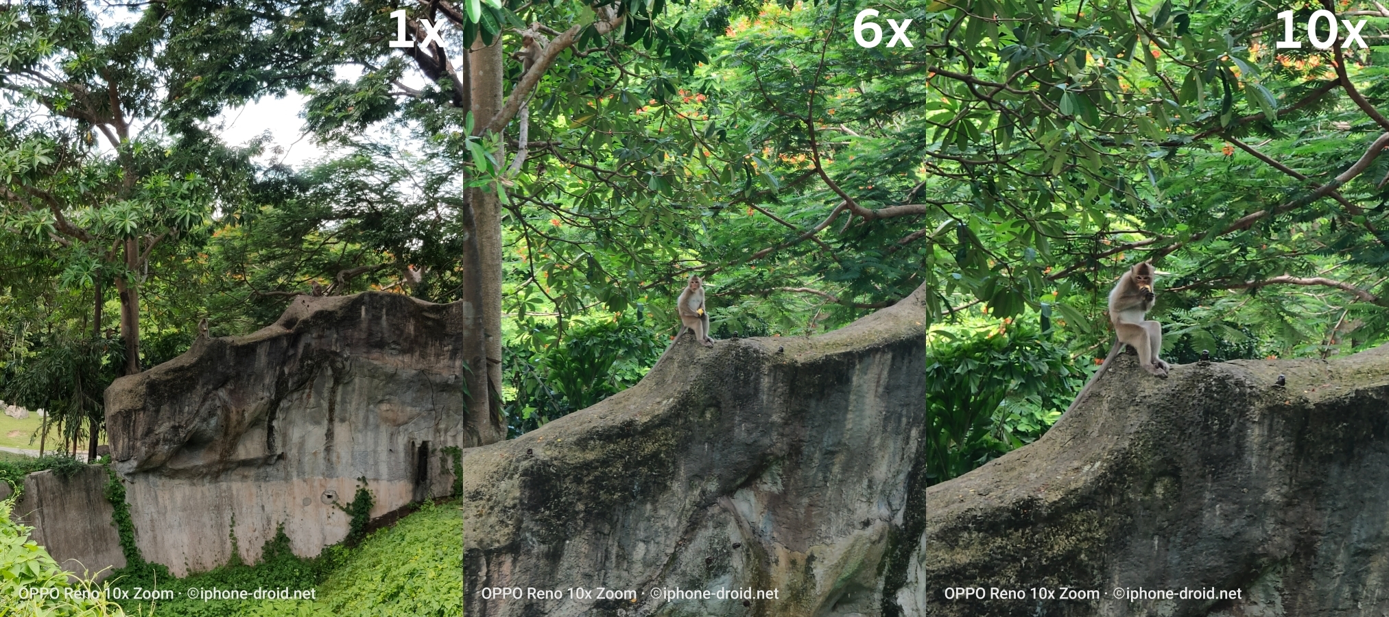 OPPO Reno 10x Zoom Camera Review