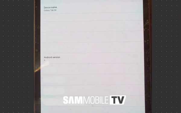 Samsung Galaxy Tab S6 leaks in live images, shows off its dual rear cameras