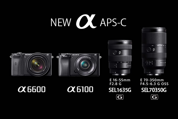 Sony α6600 and α6100