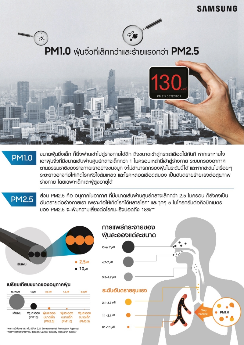 Danger of PM 2.5 Air and AP