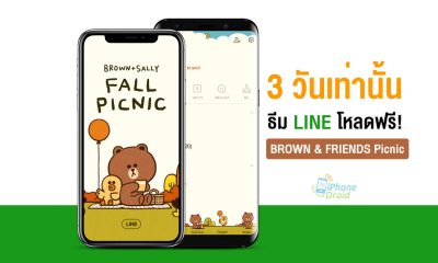 BROWN and FRIENDS Picnic LINE Theme