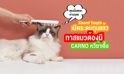 CARNO Pet Sterilizing Care Comb Xiaomi Youpin